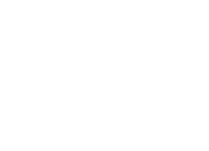50 Brands